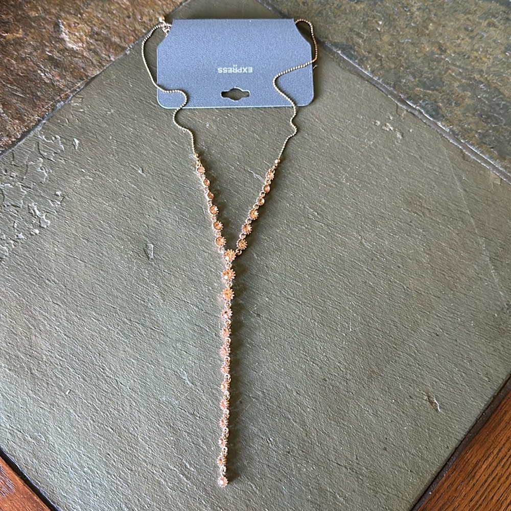 Brand New Express Necklace